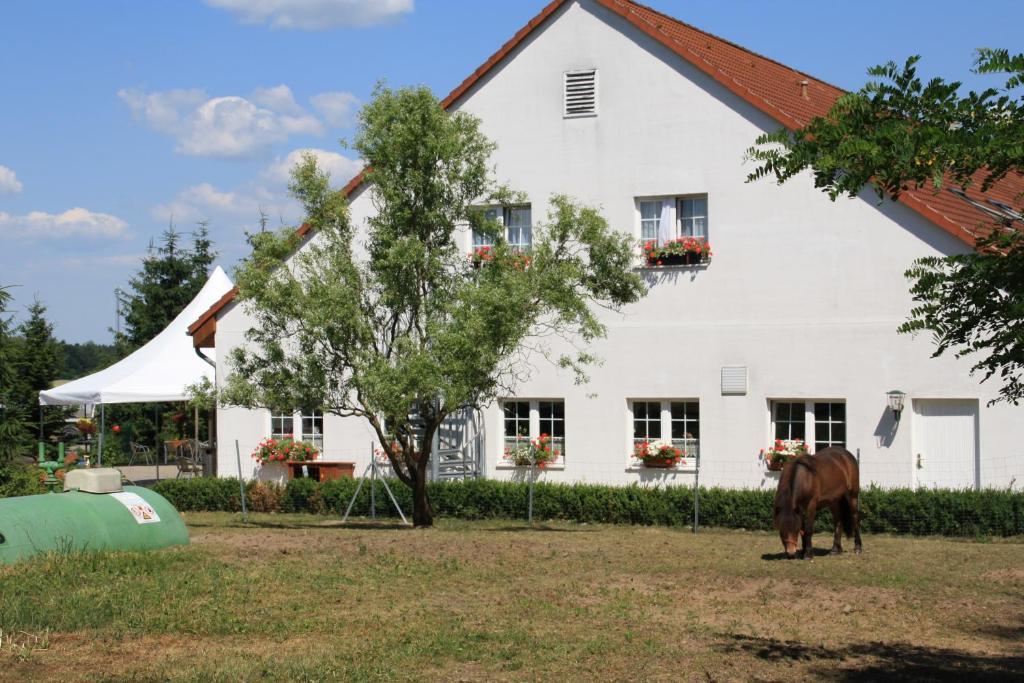 Hotel-Pension Am Muehlberg Lübbenau Rum bild